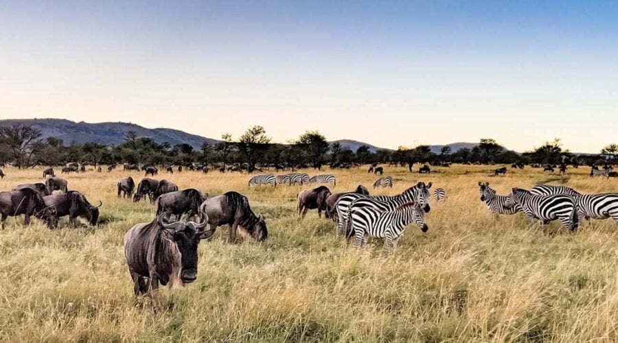 2 Days Tarangire National Park & Ngorongoro Crater