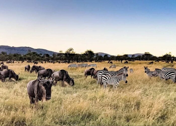 2 Days Tarangire National Park & Ngorongoro Crater