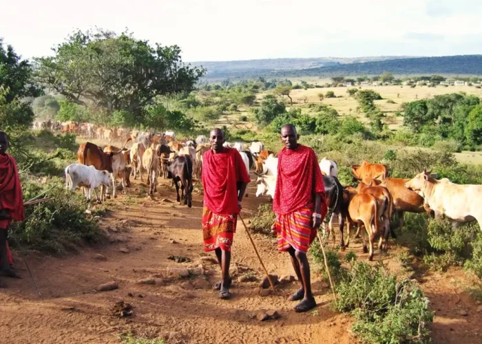 7-Days Simanjiro, Tarangire Np, and Oltukai Village Bush Walking Experience in Maasai land