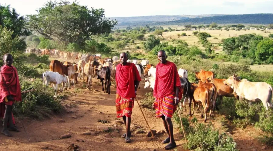 7-Days Simanjiro, Tarangire Np, and Oltukai Village Bush Walking Experience in Maasai land