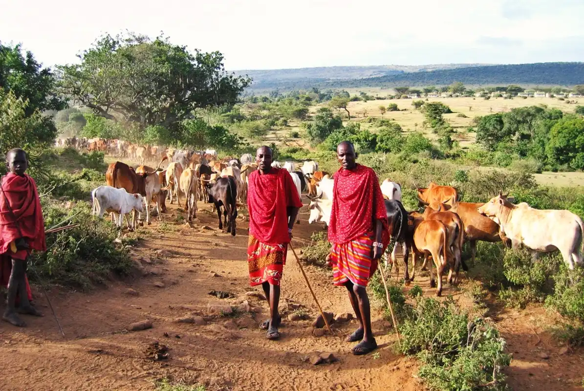 7-Days Simanjiro, Tarangire Np, and Oltukai Village Bush Walking Experience in Maasai land