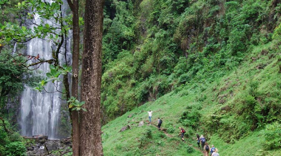 Materuni Waterfall & Coffee Tour