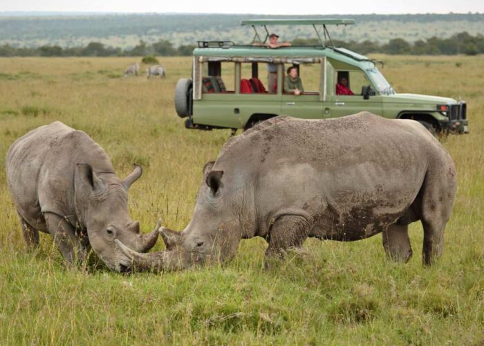 Tanzania Big Five Safari