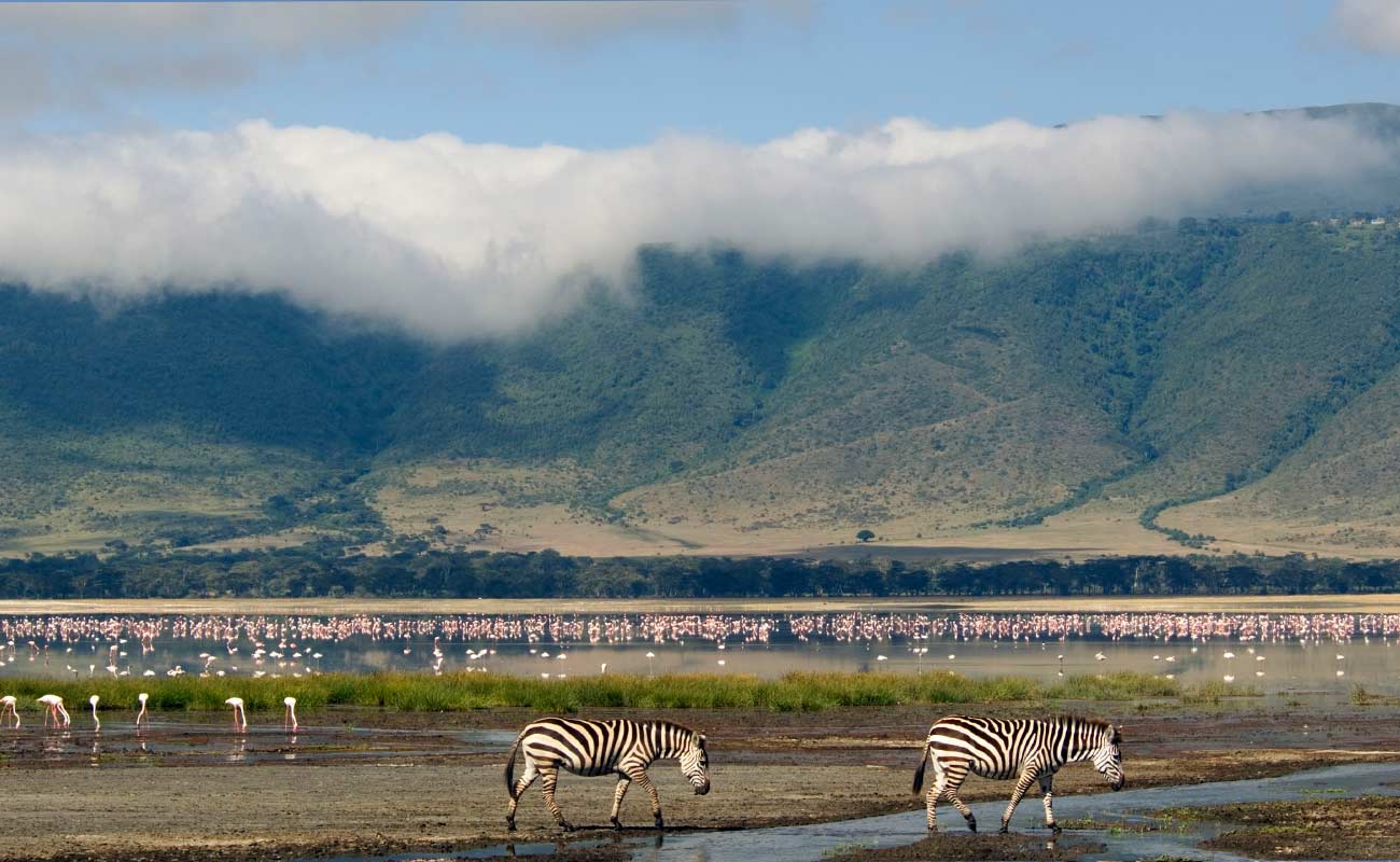 Ngorongoro Conservation Area with Kipe Adventure