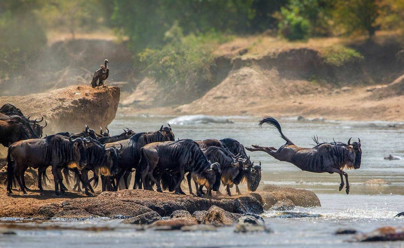 Serengeti National Park with Kipe Adventure