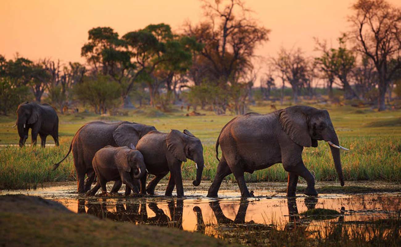 Tarangire National Park with Kipe adventure