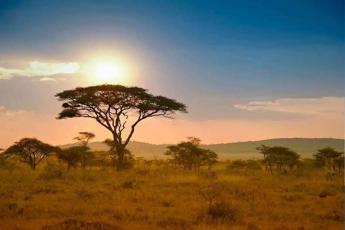Top 6 Things To Do In Tanzania