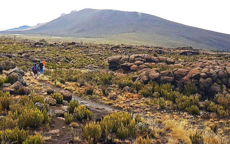 The Best Views Of Mount Kilimanjaro