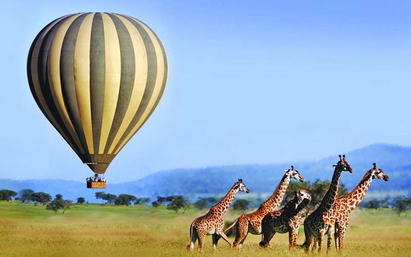 How Many Days Are Enough For Tanzania Safari?