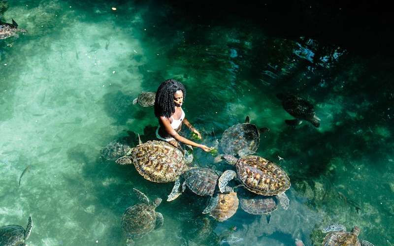 What Animals Can You See In Zanzibar?